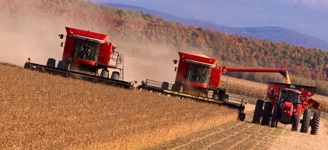 Krasnodar ist die Kornkammer Russlands. Um das geerntete Getreide auch vor Ort weiterverarbeiten zu können, braucht es Landtechnik-Importe. Einige Ausschreibungen laufen schon.