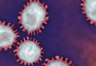 Viren mit Folgen: Die Lungenkrankheit Covid-19 gefährdet nicht nur Menschenleben, sondern stört auch Lieferketten empfindlich. 