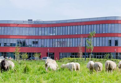 Ab aufs Land: In der Firmenzentrale, dem „Dvelop-Campus“ in Gescher, arbeiten 422 Mitarbeiter. 